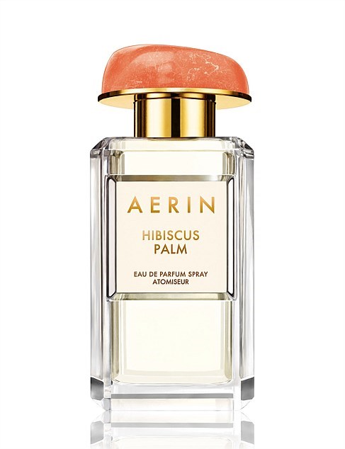 Aerin Hibiscus