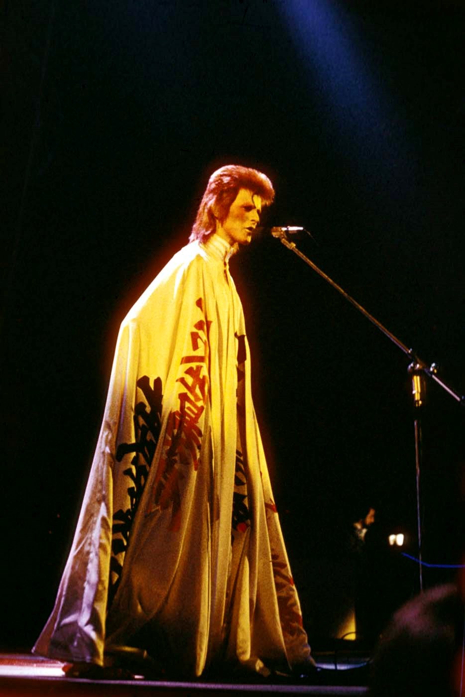 David Bowie in 1973
