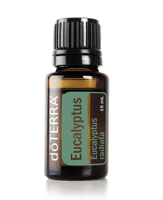 eucalyptus oil