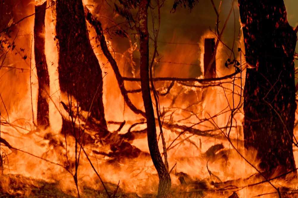climate change bushfire Taree