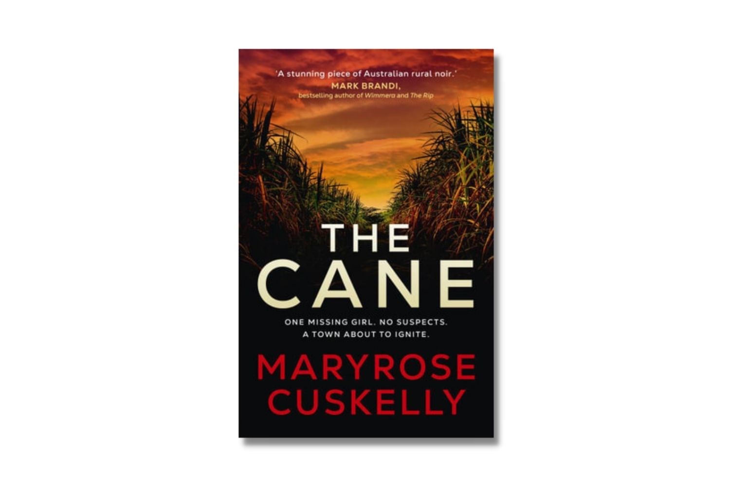 the-cane-book-cover