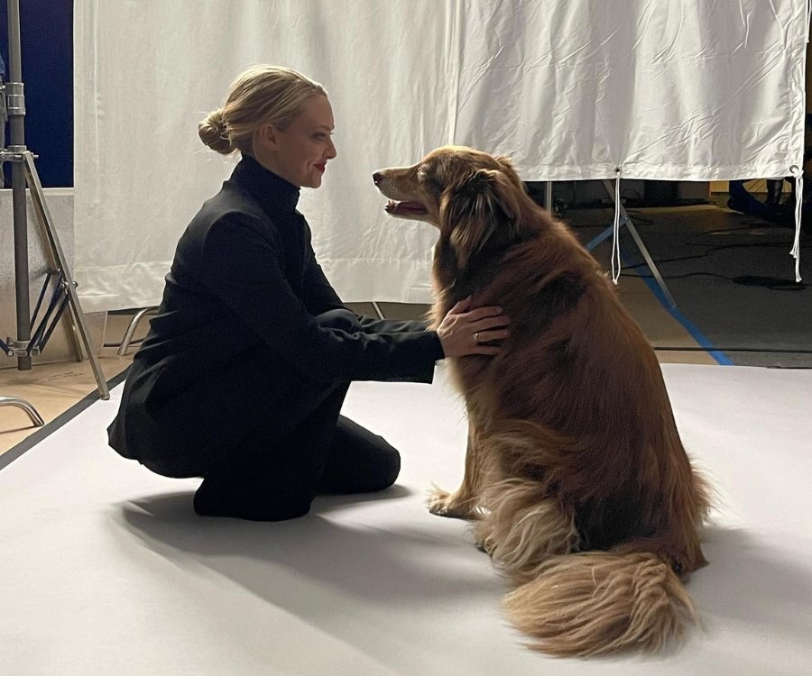 amanda seyfried dog finn