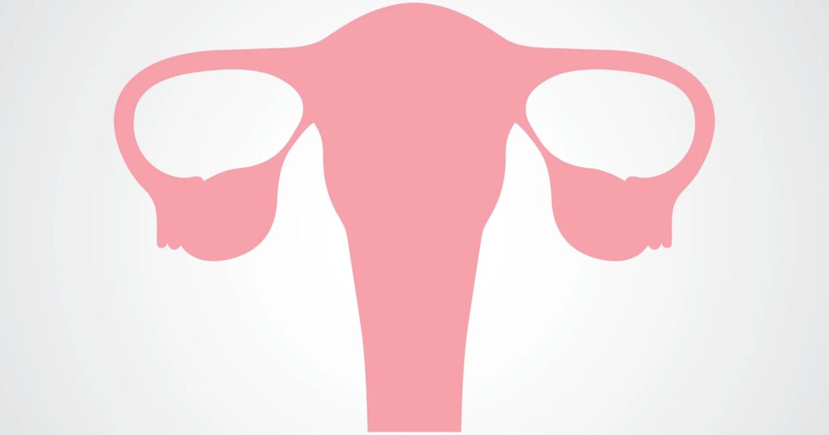 What Your Uterus Really Looks Like | marie claire