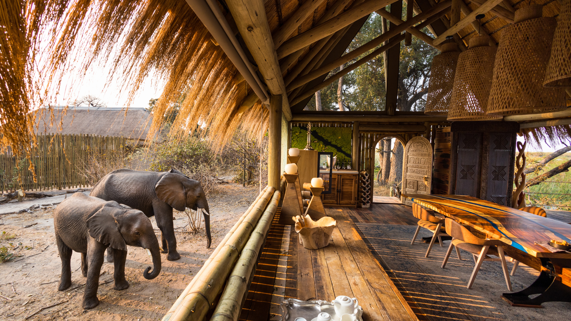 Luxury African Safari Review: Great Plains Conservation Botswana