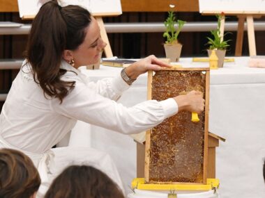 Guerlain Champions The Humble Bee With Its Bee School Initiative