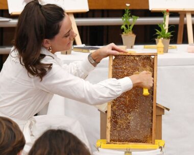 Guerlain Champions The Humble Bee With Its Bee School Initiative