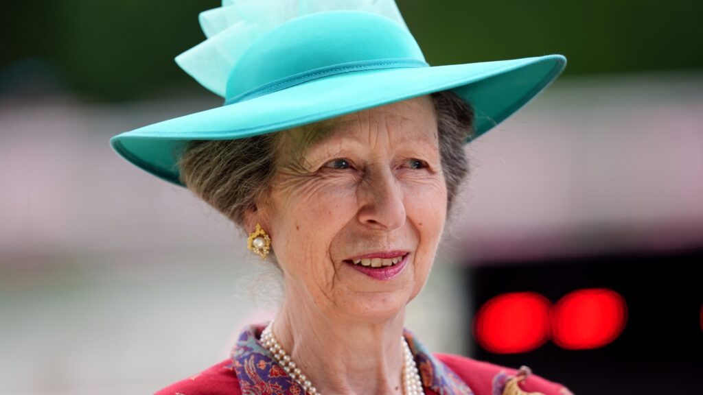 Princess Anne Hospitalised, Buckingham Palace Confirms