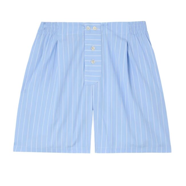 blue stripe boxer shorts