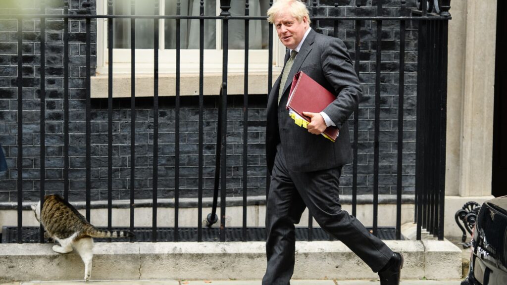 Larry the 10 Downing Street cat squeezes through railings as Britain's Prime Minister Boris Johnson leaves number 10 Downing Street as he heads to the House of Commons for the weekly PMQ session, on September 23, 2020 in London, England