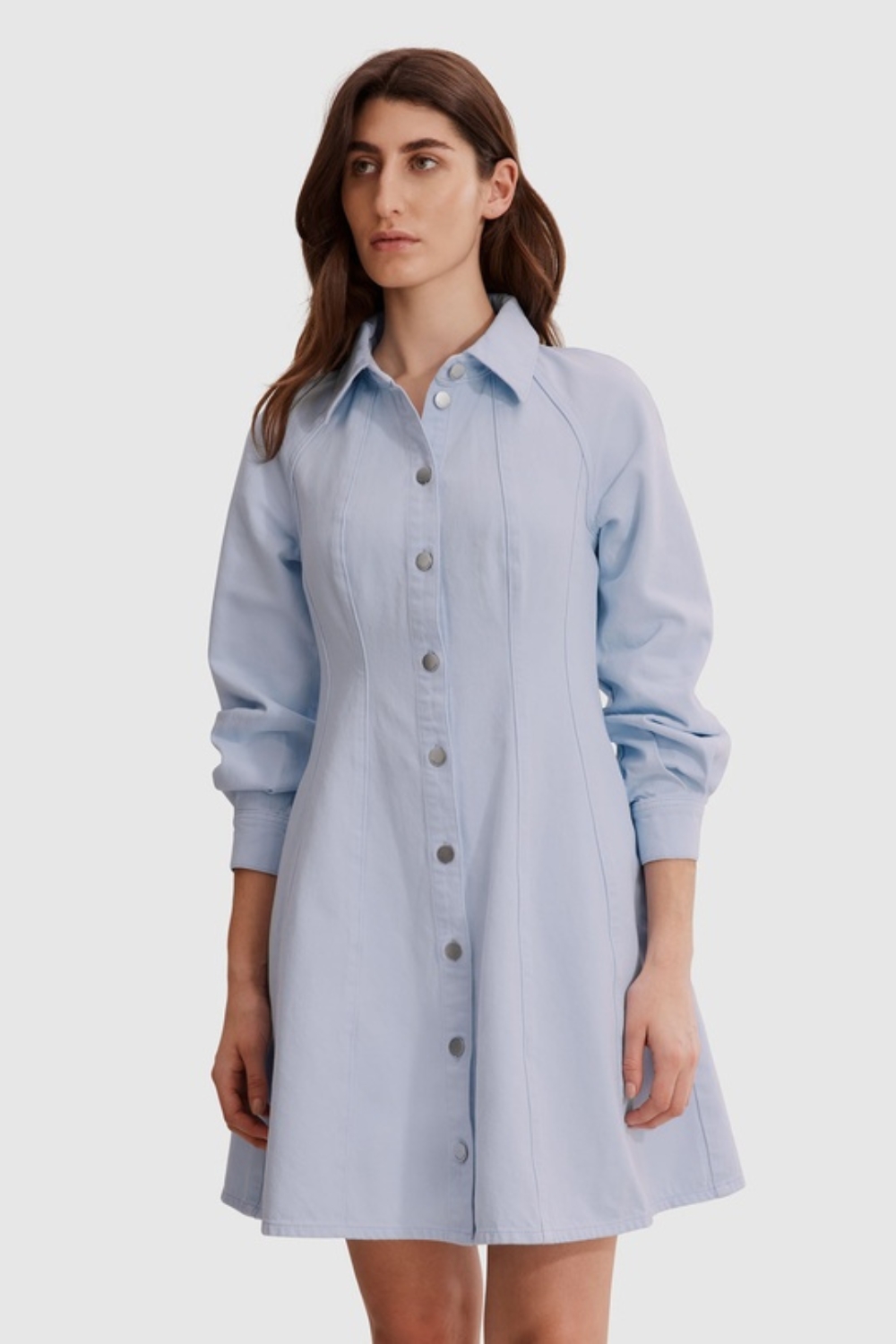 Australian Cotton Denim Panelled Mini Dress