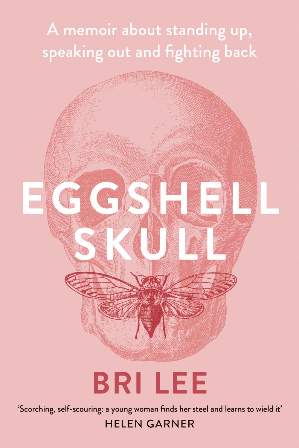 eggshell-skull