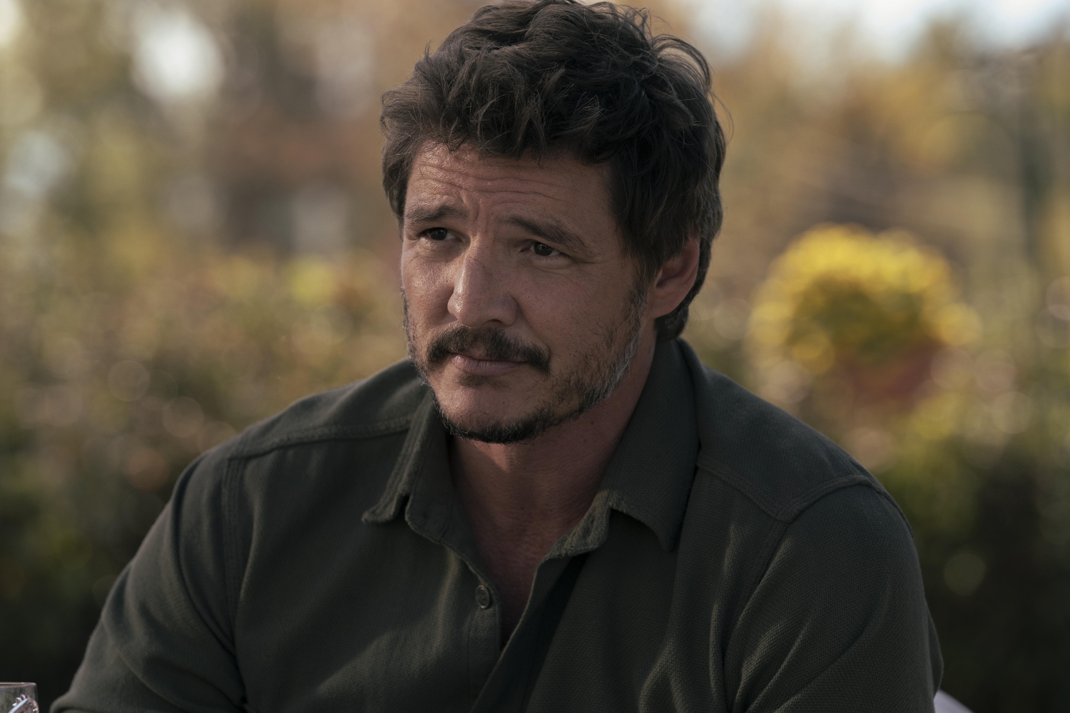 the last of us pedro pascal joel