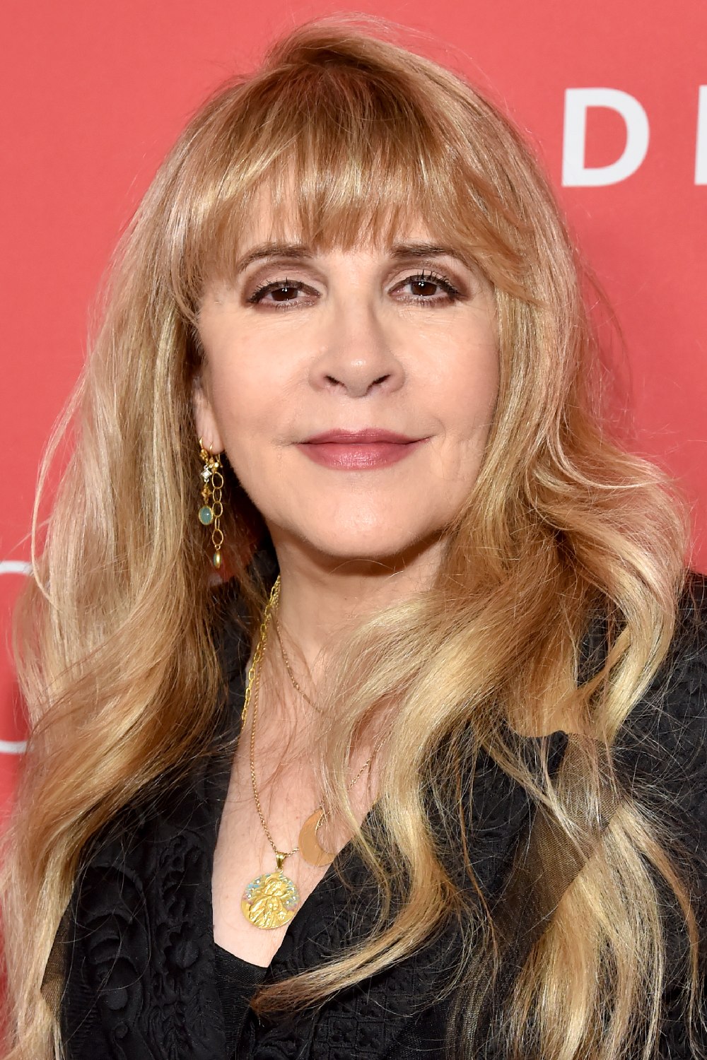 Stevie Nicks