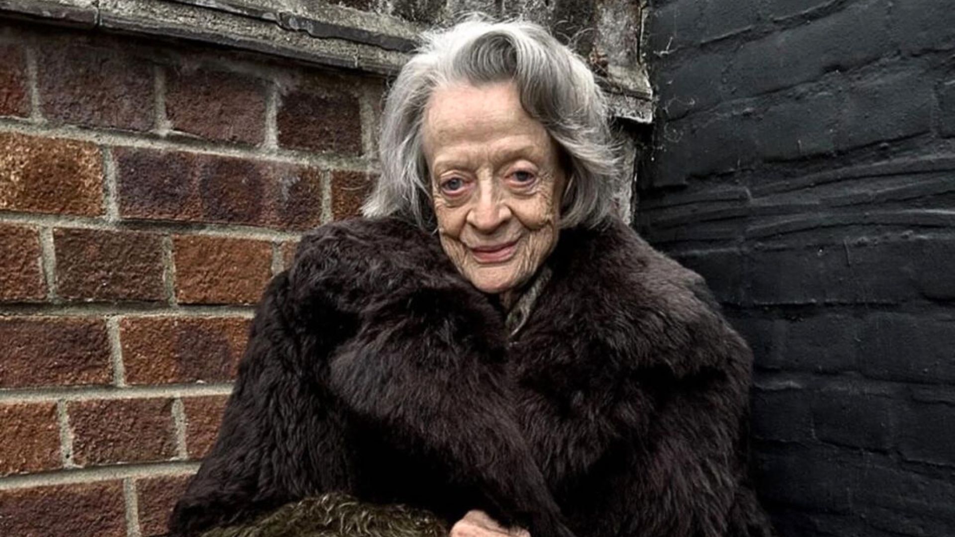 Maggie Smith Fronting Loewe At Age 88 Is Everything We Need Today
