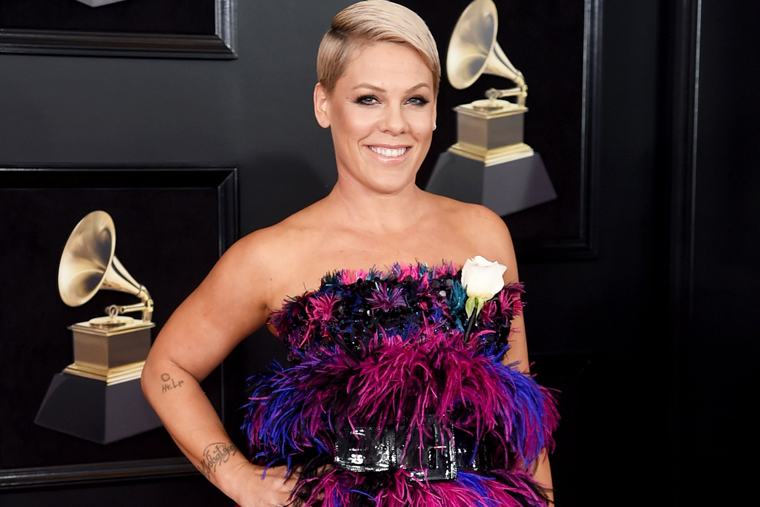 Pink Admitted To Hospital Hours Before Cancelling Another Sydney Concert