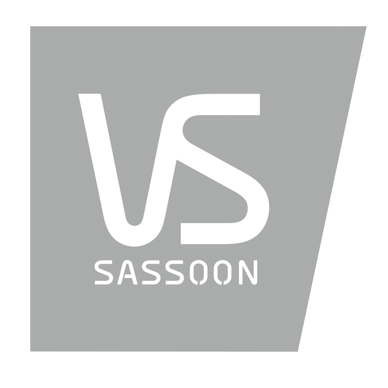 Sponsor logo of VS SASSOON
