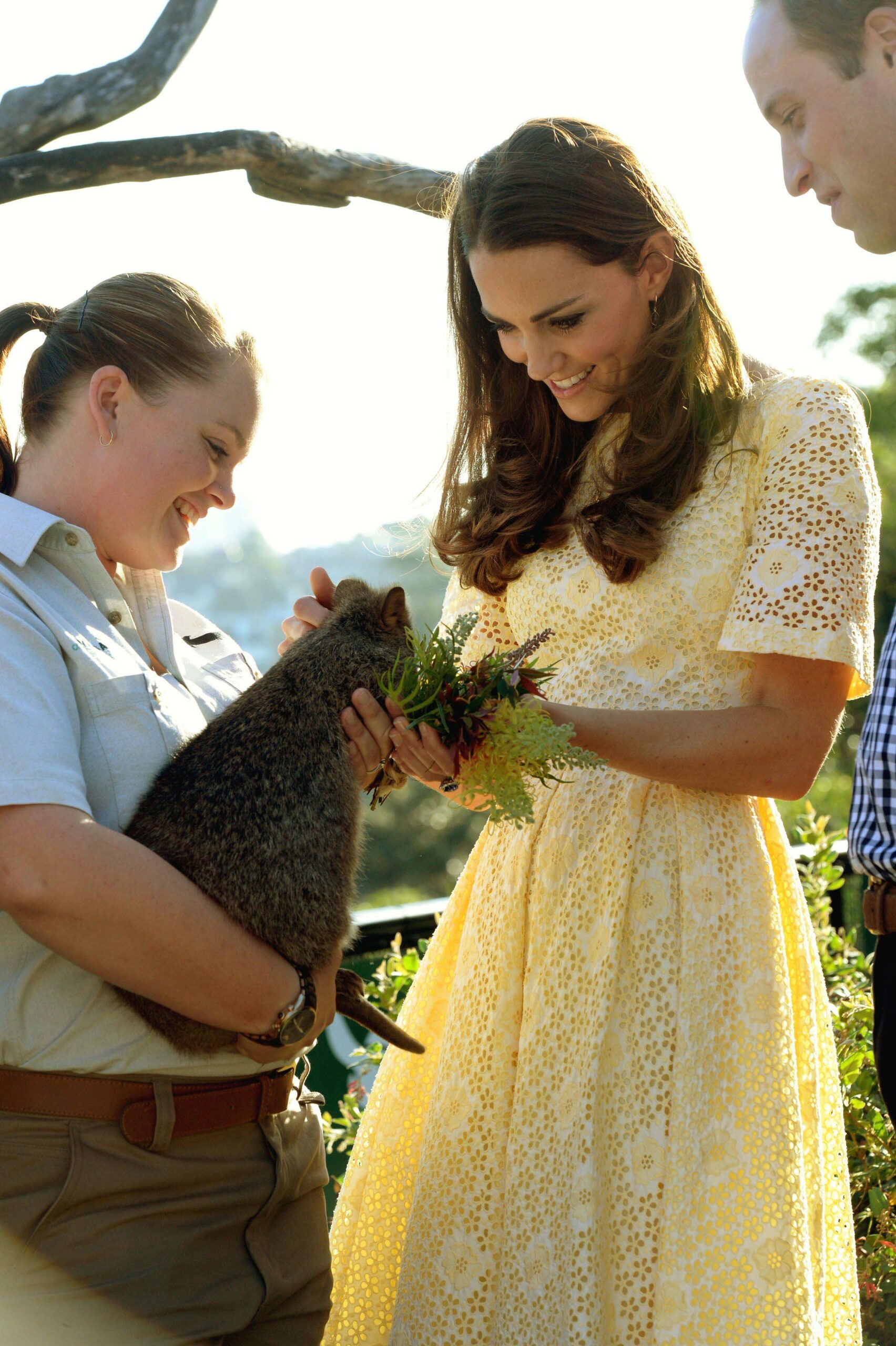 Kate Middleton yellow dress