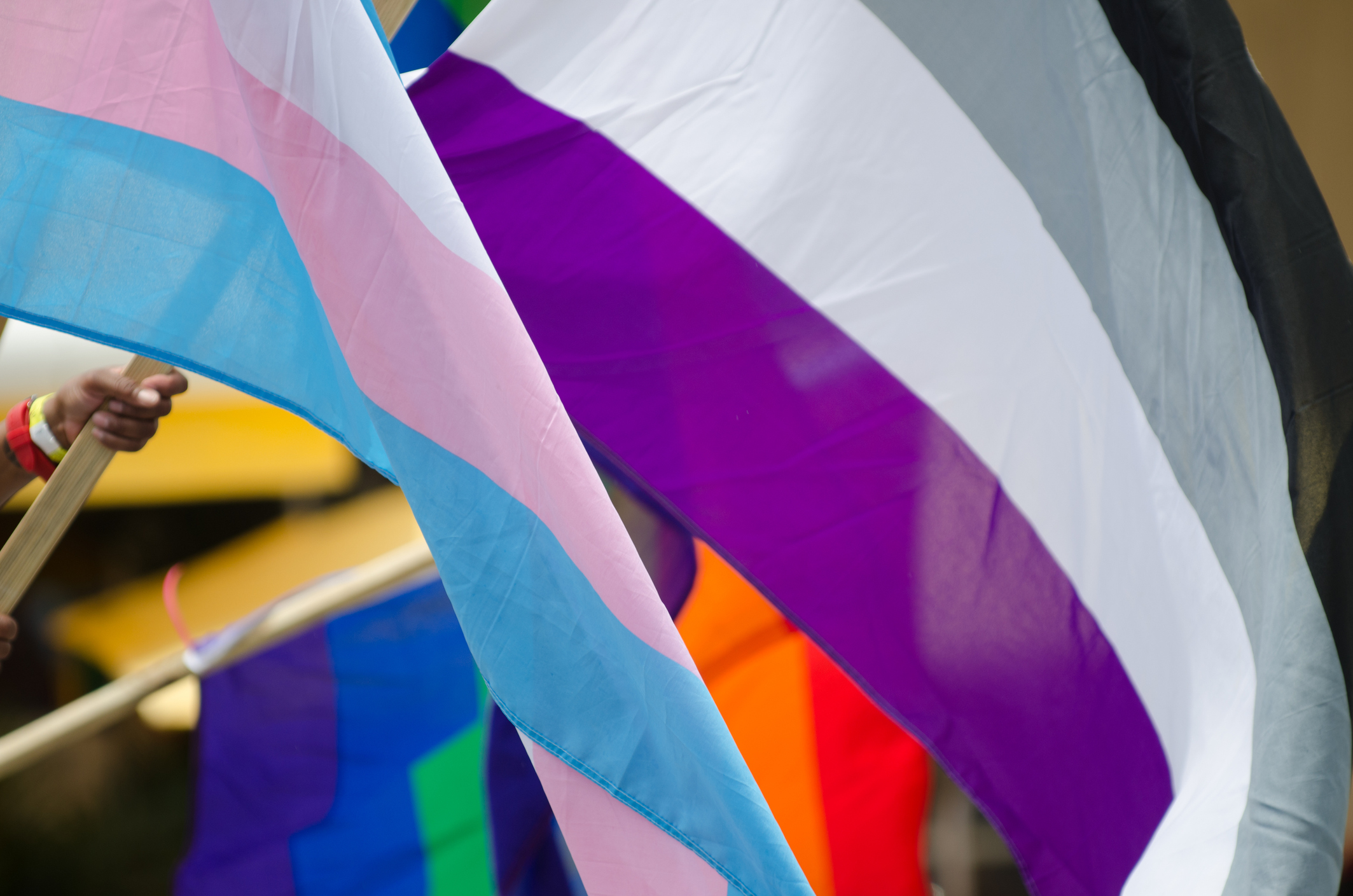 Rainbow, transgender, and asexual flags waving