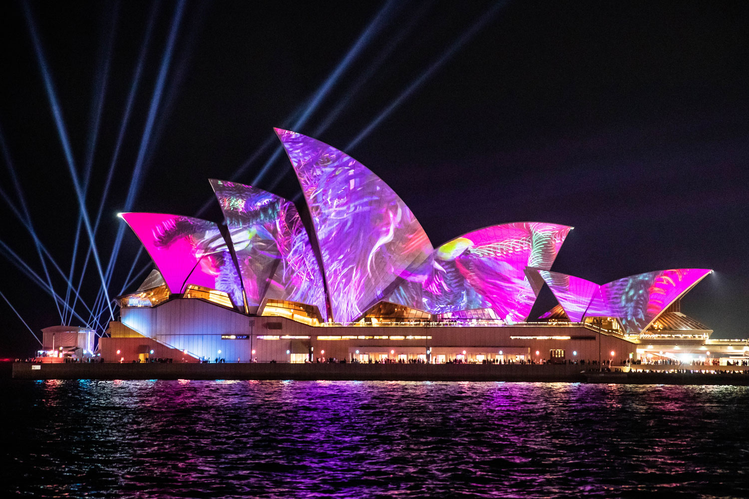 Here’s What To Check Out At Vivid Sydney This Year