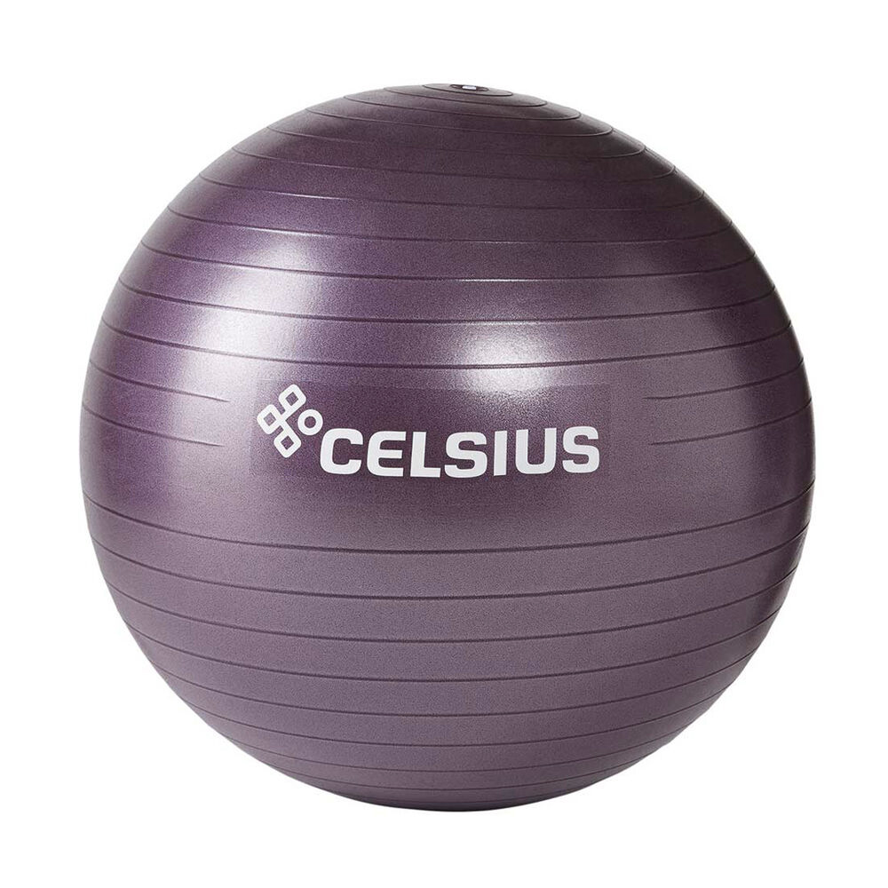 Celsius Fit Ball