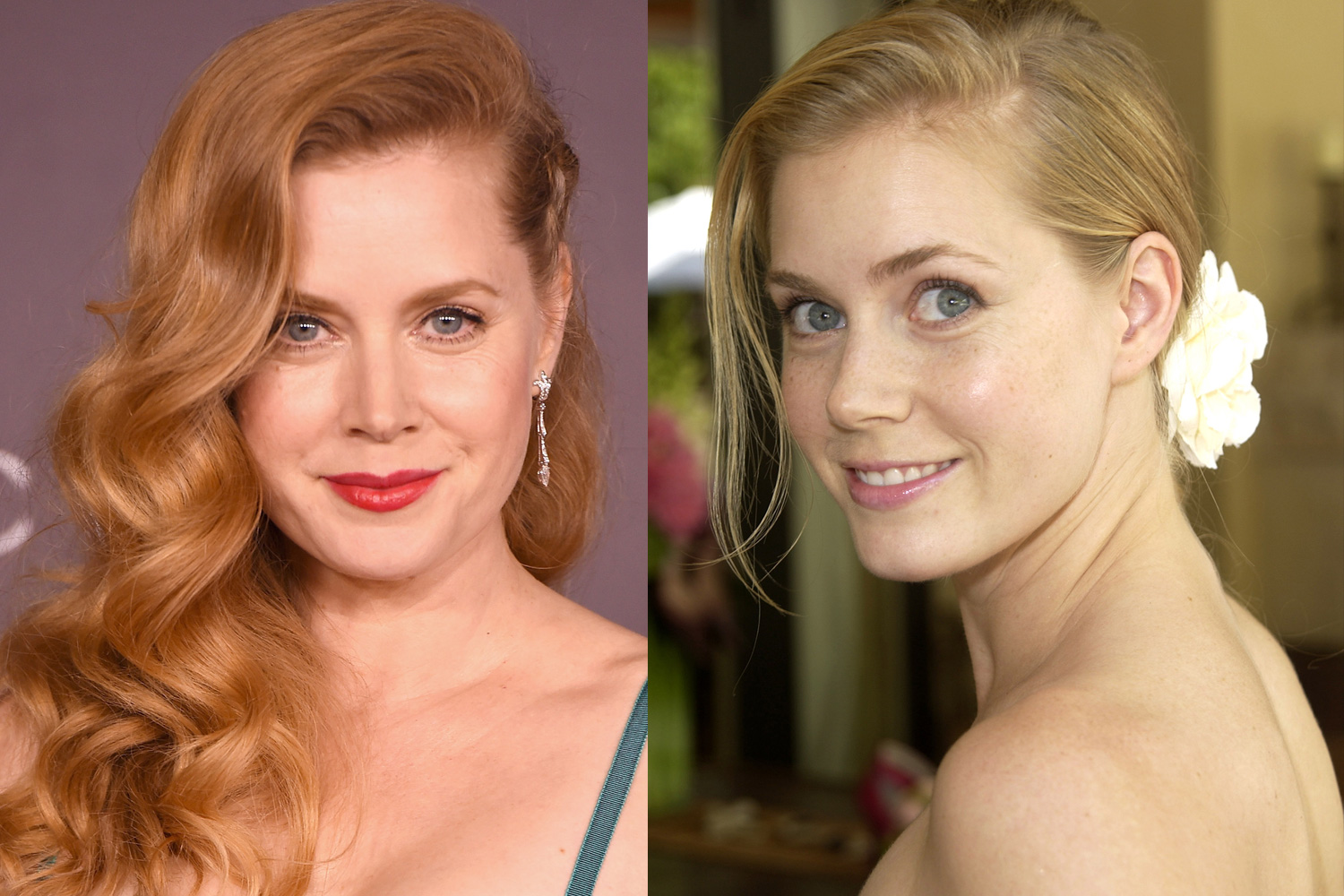 amy adams