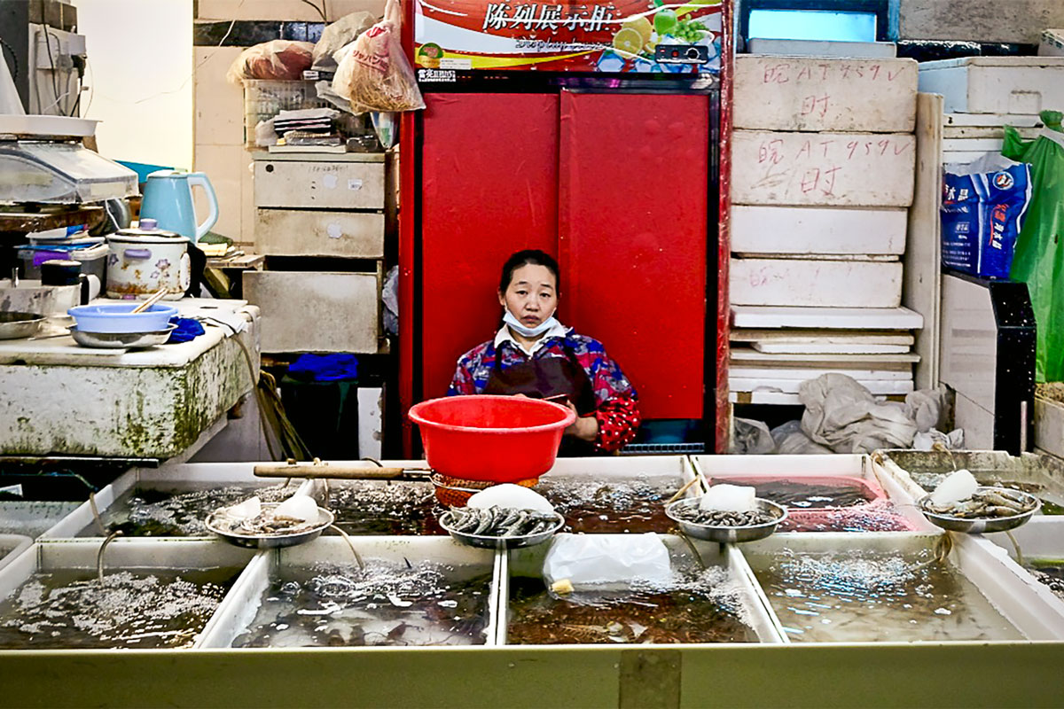 China Wet Markets