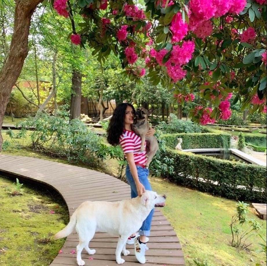 Salma Hayek walking her dogs