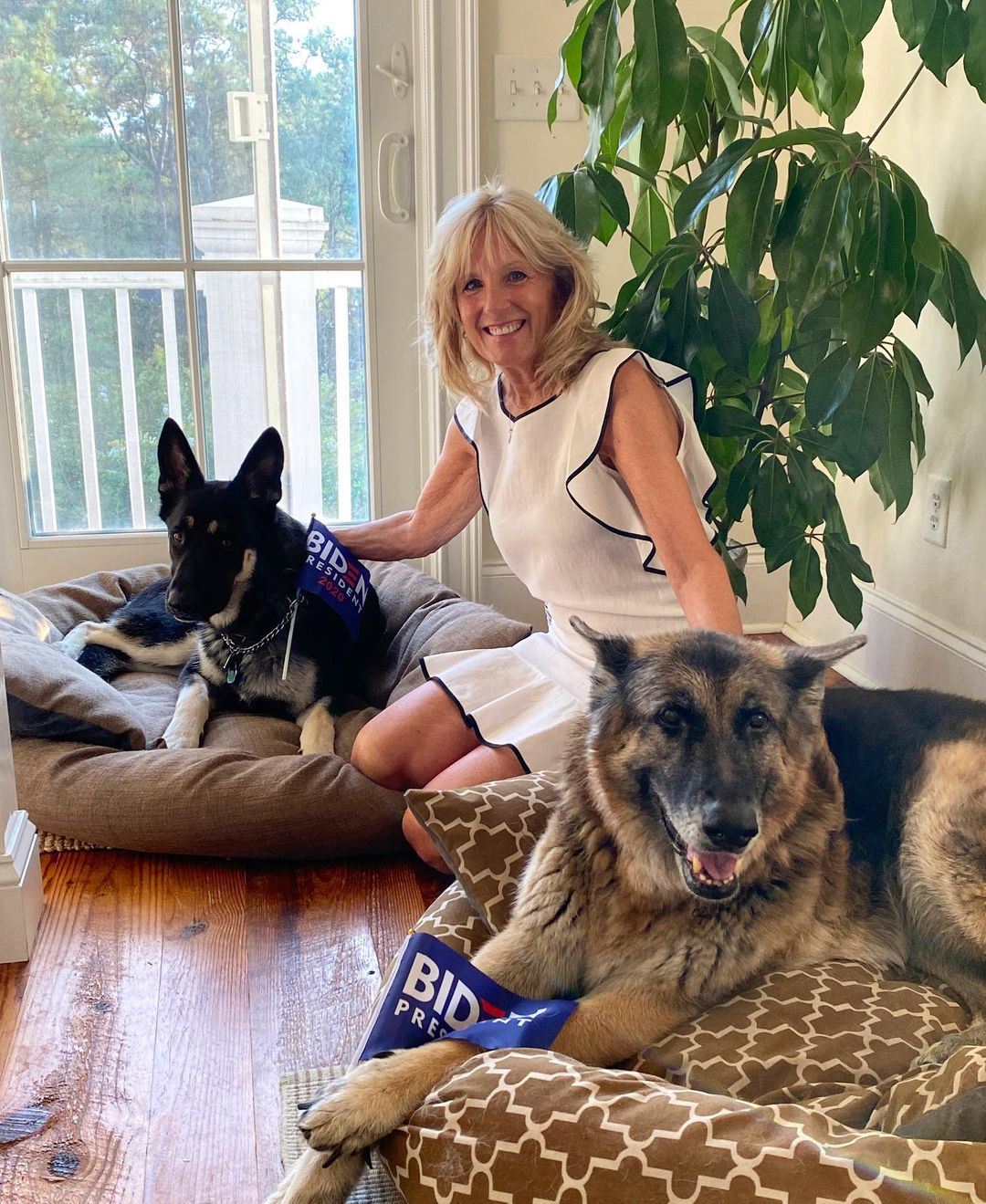 Dr. Jill Biden with dogs Champ and Major