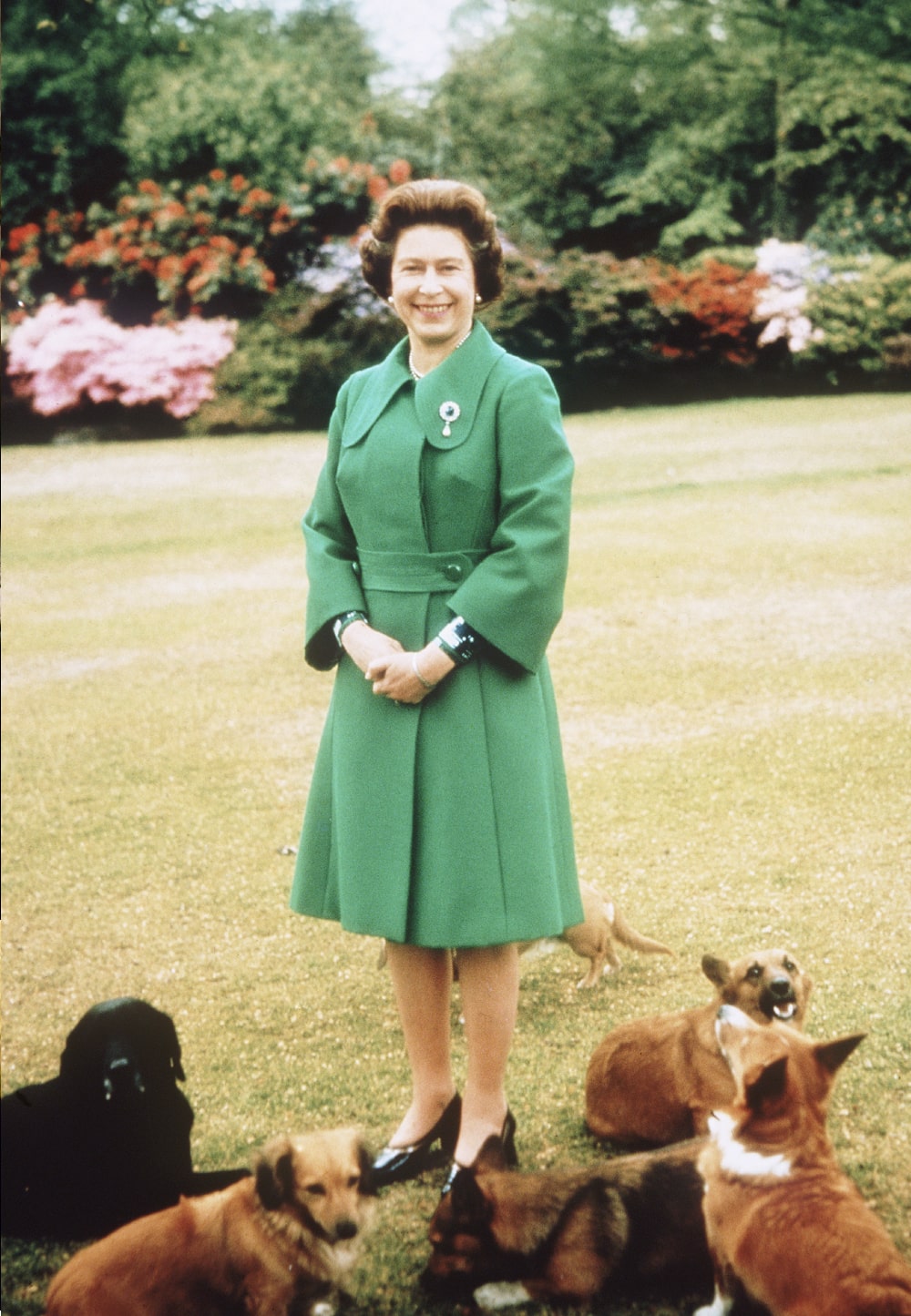 Queen Elizabeth dogs