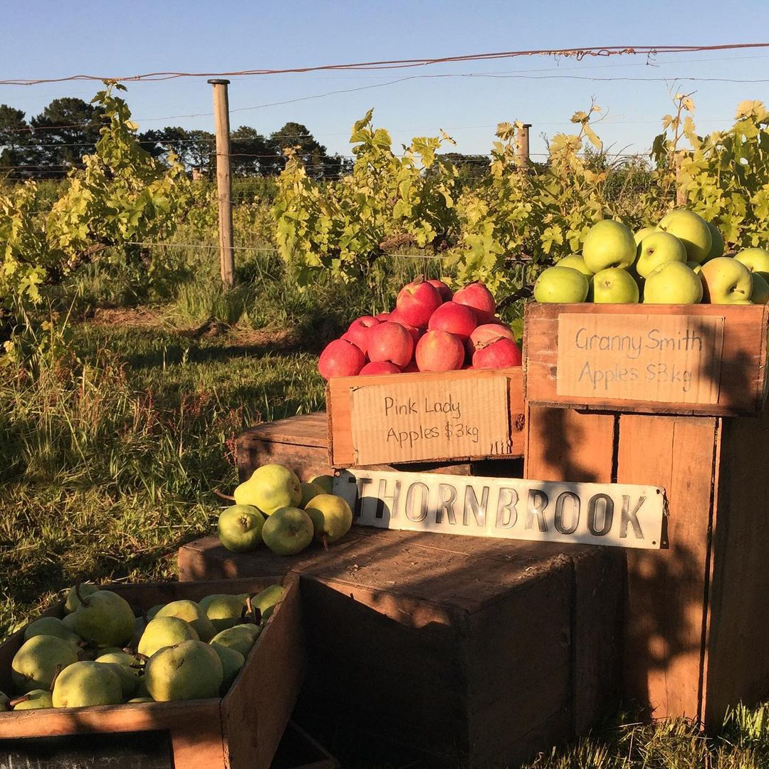 Thornbrook Orchard