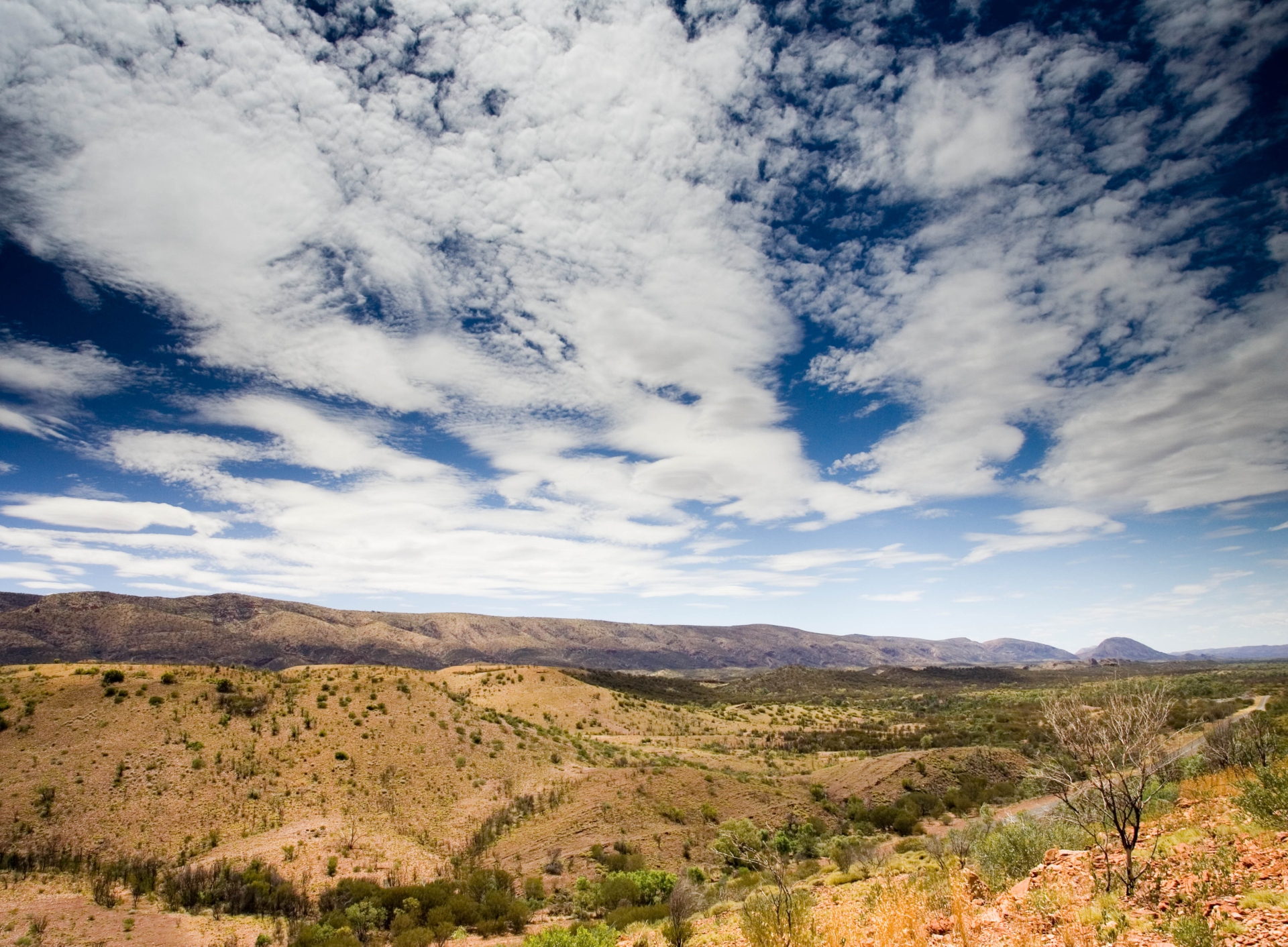 australian-landscape